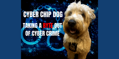 Right Click Solutions has an important announcement about Log4j from Cyber Chip Dog!
